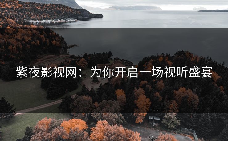 紫夜影视网：为你开启一场视听盛宴