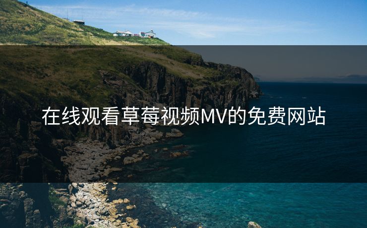 在线观看草莓视频MV的免费网站