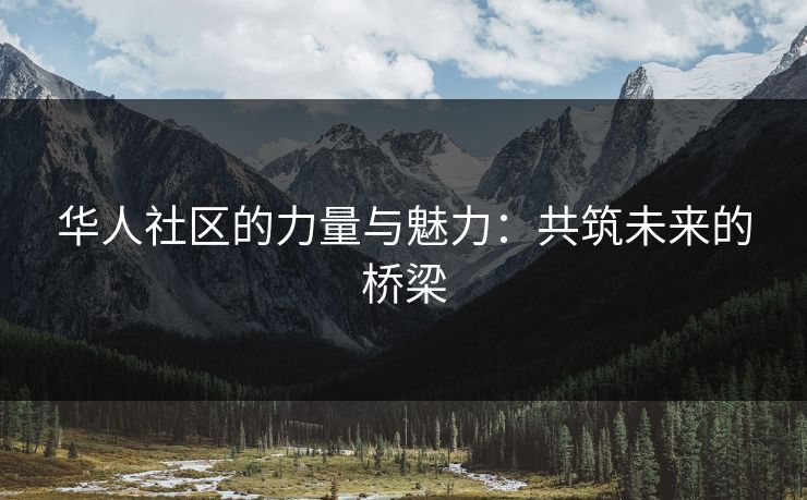 华人社区的力量与魅力：共筑未来的桥梁
